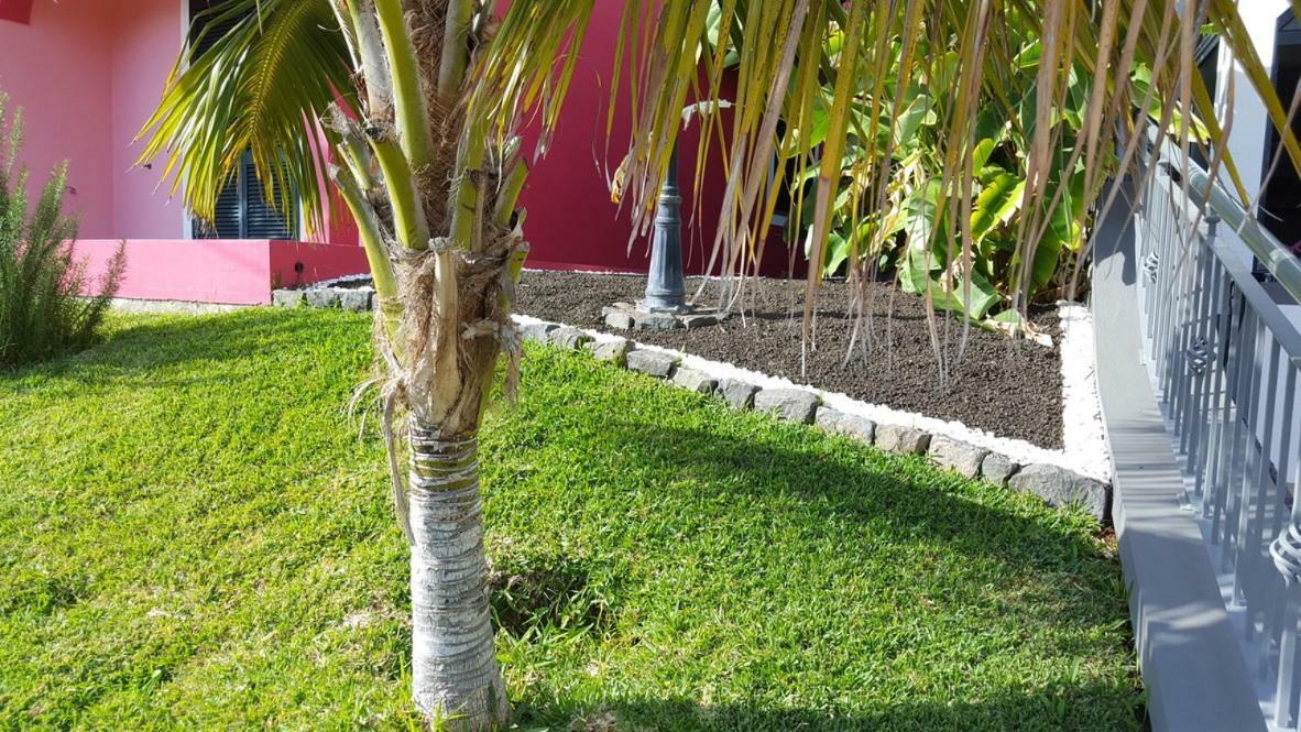 Pink House Apartment Ponta do Sol  Ngoại thất bức ảnh